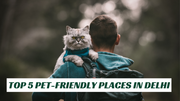 TOP 5 PET-FRIENDLY PLACES IN DELHI - The Basil Pet Care