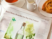 5 Home Remedies for Dog Tick Control