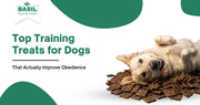 Top Training Treats for Dogs