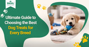 Ultimate Guide to Choosing the Best Dog Treats Online for Every Breed in India