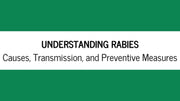 Understanding Rabies: Causes, Transmission, and Preventive Measures - The Basil Pet Care