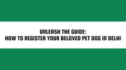 How to Register Your Beloved Pet Dog in Delhi - The Basil Pet Care