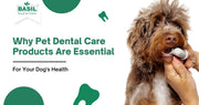 Pet Dental Care Products