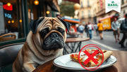 Why Pizza Is Not Healthy for Pet Dogs