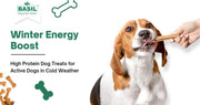 Winter Energy Boost: High Protein Dog Treats for Active Dogs in Cold Weather