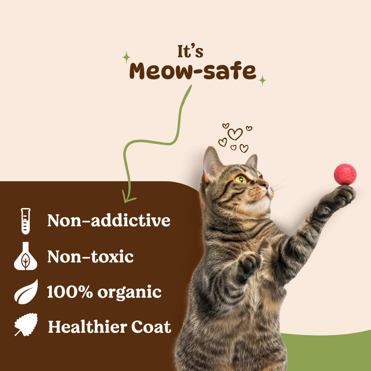 BASIL Catnip Jar for Kittens & Cats, Pure & Natural Cat Nip - The Basil ...