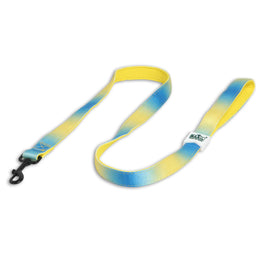 Padded Leash for Dogs, Cats & Puppies (Blue & Yellow)