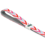 Padded Leash for Dogs, Cats & Puppies (Zig-Zag Red)