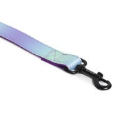 Padded Leash for Dogs, Cats & Puppies (Purple & Blue)