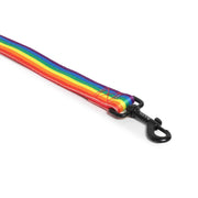 Padded Leash for Dogs, Cats & Puppies (Rainbow)