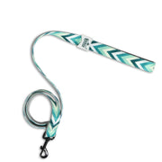 Padded Leash for Dogs, Cats & Puppies (Zig-Zag Green)