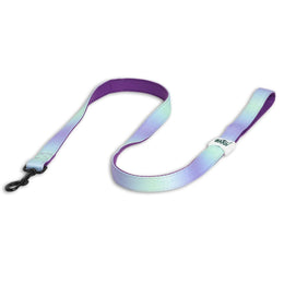Padded Leash for Dogs, Cats & Puppies (Purple & Blue)