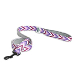 Padded Leash for Dogs, Cats & Puppies (Zig-Zag Purple)