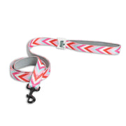 Padded Leash for Dogs, Cats & Puppies (Zig-Zag Red)