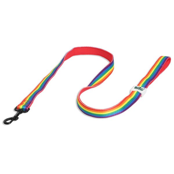 Padded Leash for Dogs, Cats & Puppies (Rainbow)
