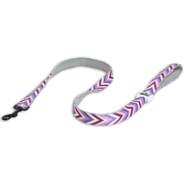 Padded Leash for Dogs, Cats & Puppies (Zig-Zag Purple)