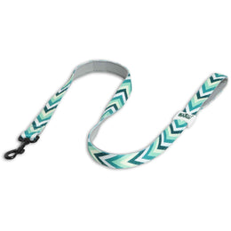 Padded Leash for Dogs, Cats & Puppies (Zig-Zag Green)