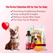 Pawsome Valentine Bundle