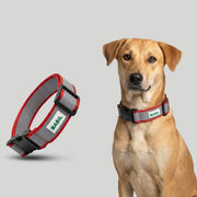 BASIL Reflective Safety Collar for Street Dogs