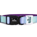 Padded Adjustable Collar for Dogs, Cats & Puppies (Purple & Blue)