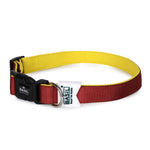 Padded Adjustable Collar for Dogs, Puppies & Cats (Maroon)