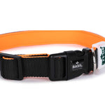 Padded Adjustable Collar for Dogs, Puppies & Cats (Black)