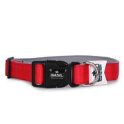 Padded Adjustable Collar for Dogs, Puppies & Cats (Red)