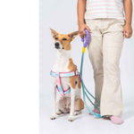 BASIL LOOONG Hands-Free Leash | 3 IN 1 Dog Leash