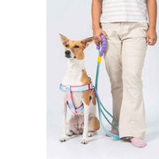 BASIL LOOONG Hands-Free Leash | 3 IN 1 Dog Leash