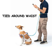 BASIL LOOONG Hands-Free Leash | 3 IN 1 Dog Leash
