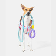 BASIL LOOONG Hands-Free Leash | 3 IN 1 Dog Leash