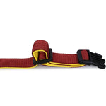 Padded Adjustable Collar for Dogs, Puppies & Cats (Maroon)