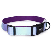 Padded Adjustable Collar for Dogs, Cats & Puppies (Purple & Blue)