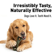 BASIL Fresh Breath 360* Dental Chew Treat for Dogs & Puppies | 90 Grams
