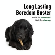 Basil Daily Collagen Hand-Rolled Sticks for Dogs | Rawhide-Free High Protein Chew | Natural Alternative to Rawhide & Yak Cheese | Long-Lasting Support for Joints, Skin & Dental Health