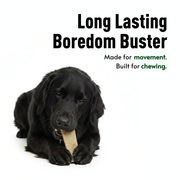 Basil Daily Collagen Hand-Cut Chips for Dogs | Rawhide-Free High Protein Chew | Natural Alternative to Rawhide & Yak Cheese | Long-Lasting Support for Joints, Skin & Dental Health