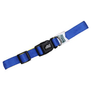 Padded Adjustable Collar for Dogs, Puppies & Cats (Blue)