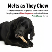 Basil Daily Collagen Hand-Rolled Sticks for Dogs | Rawhide-Free High Protein Chew | Natural Alternative to Rawhide & Yak Cheese | Long-Lasting Support for Joints, Skin & Dental Health