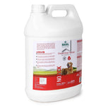 Basil No Tick Preventive Herbal Shampoo – 5L Gallon for Effective Tick & Flea Control