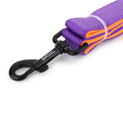 Padded Leash for Dogs, Cats & Puppies (Purple)
