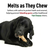 Basil Daily Collagen Hand-Cut Chips for Dogs | Rawhide-Free High Protein Chew | Natural Alternative to Rawhide & Yak Cheese | Long-Lasting Support for Joints, Skin & Dental Health