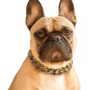BASIL Gold Dog Jewelry – Lightweight Glam, No Metal Chain