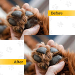 BASIL Daily wet Wipes, All Purpose Pet Grooming Wet Wipes - 80 Wipes