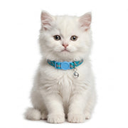Basil Printed Adjustable Collar for Puppies & Cats – Stylish & Comfortable Design