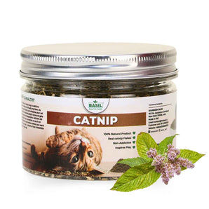Buy Pure Catnip & Cat Toys Online in India | Premium Quality & Fun for ...