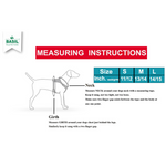 Basil Padded Leash, Collar, and Harness Set for Dogs – Comfortable & Durable Walk Essential, Solid Red - The Basil Pet Care