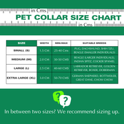 Padded Adjustable Collar for Dogs, Puppies & Cats (Maroon) - The Basil Pet Care