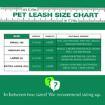 Padded Leash for Dogs, Cats & Puppies (Rainbow) - The Basil Pet Care