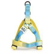 Basil Printed Dog Harness – Blue & Yellow, Adjustable & Comfortable No-Pull Harness for Walking and Training Dogs of All Sizes
