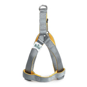 Basil Padded Dog Harness – Grey, Adjustable & Comfortable No-Pull Harness for Walking and Training Dogs of All Sizes